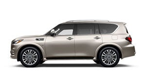 modelos-qx80